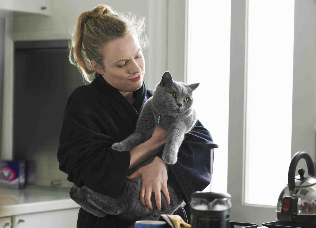 Faire garder son chat en vacances - Le guide Ultime