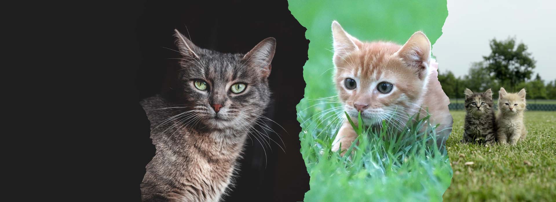 Jusqu'à -50% sur l'ensemble du site !