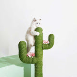 Arbre-griffoir cactus avec chat