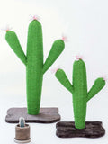 Arbre-griffoir cactus modern