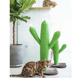 Arbre griffoir design cactus