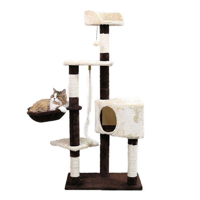 arbre a chat le panoramique monsieur fripouille