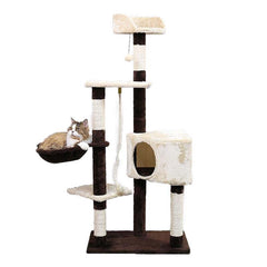 arbre a chat le panoramique monsieur fripouille