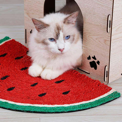 Griffoir pour chats en corde style pastèque