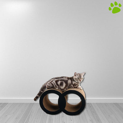 Griffoir en carton pour chats style tunnel_Simba