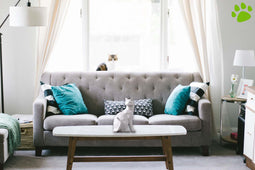 sculpture chat en résine blanc